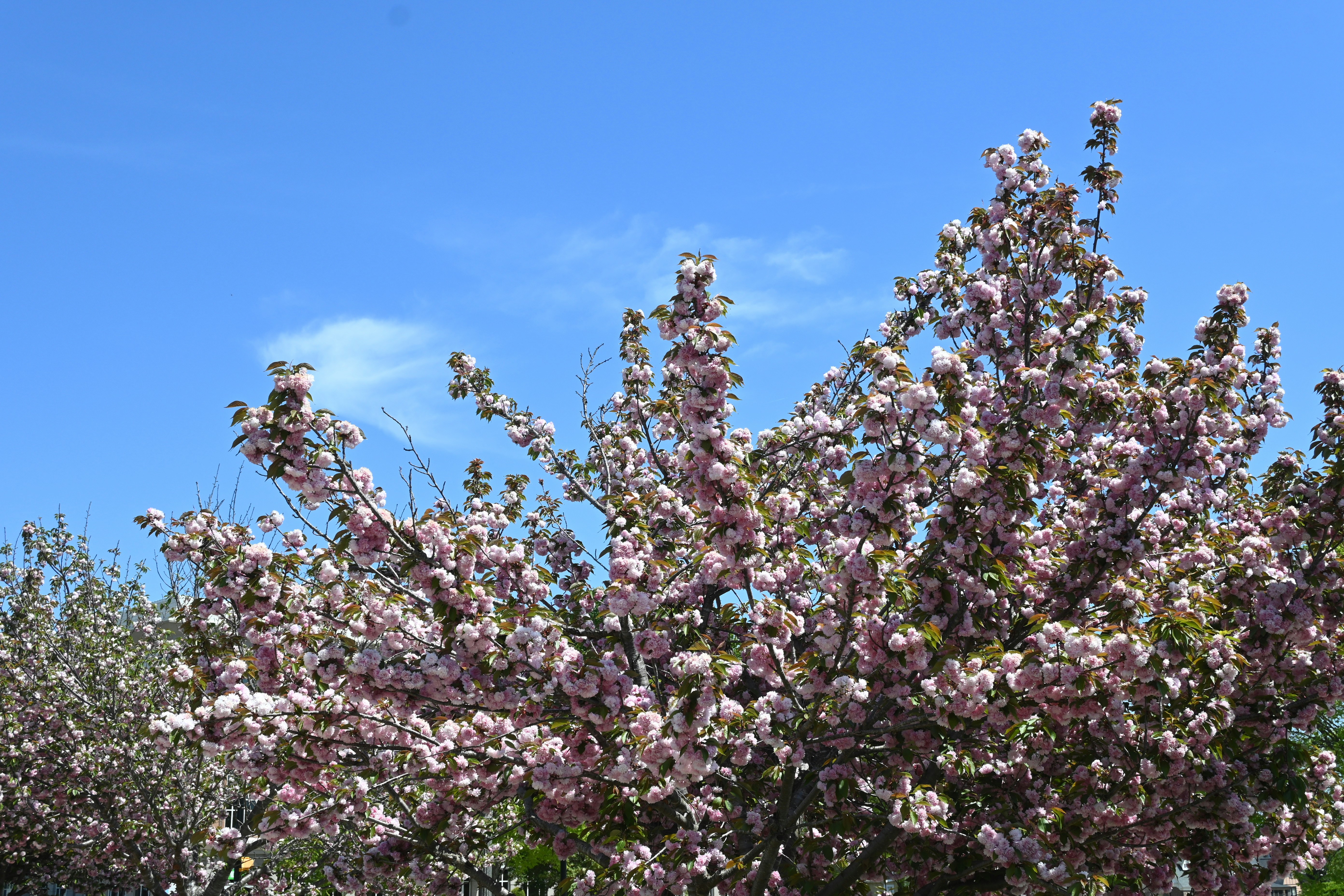 Photo by karolinabobek