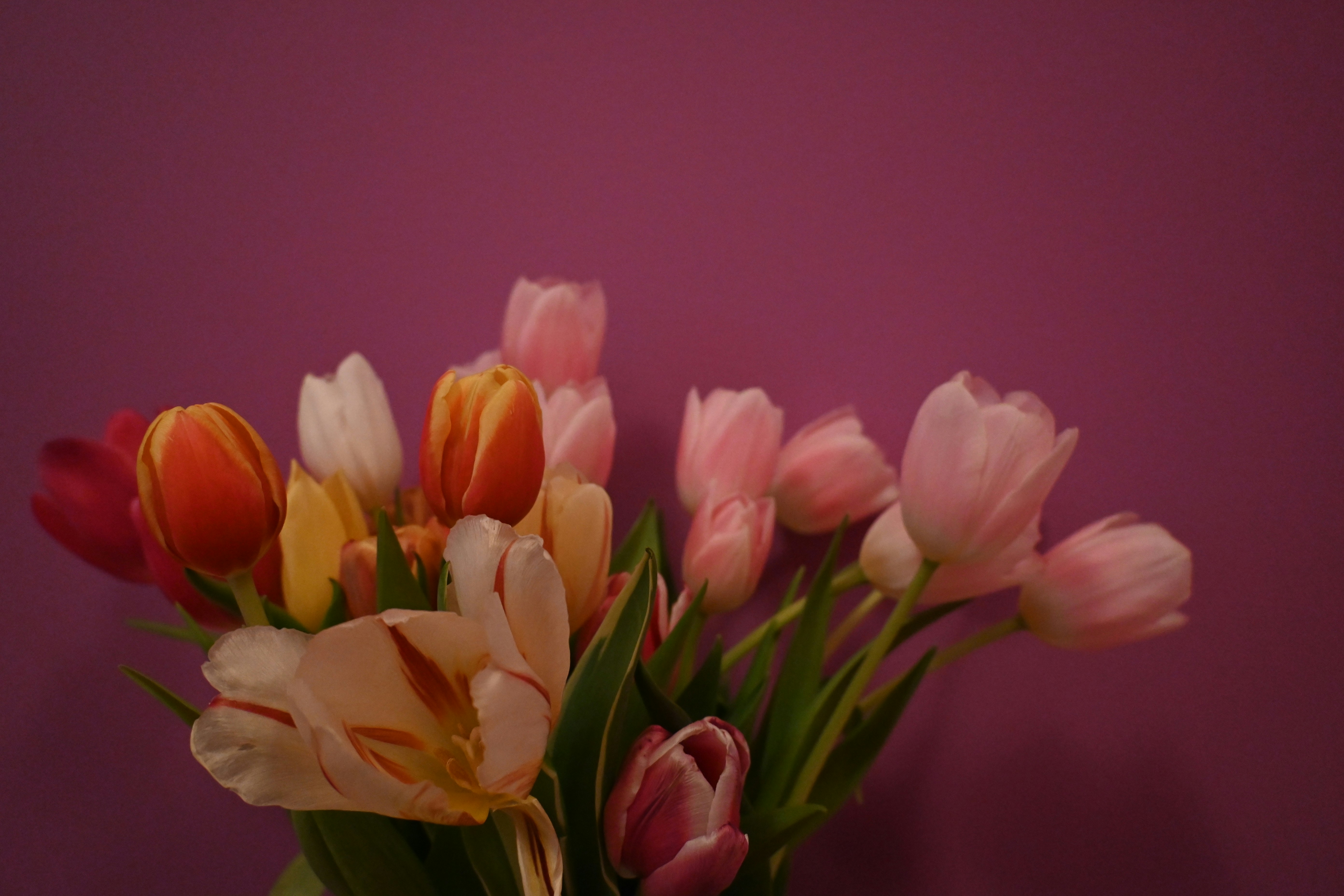 Photo by karolinabobek