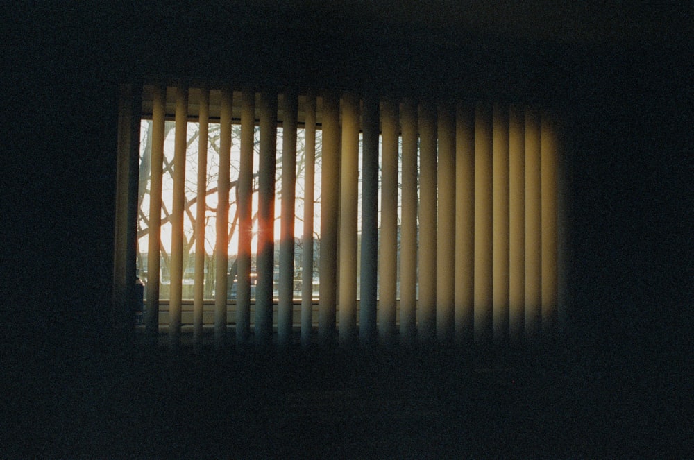 a window with a view of a giraffe through the blinds