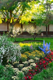a garden filled with lots of colorful flowers