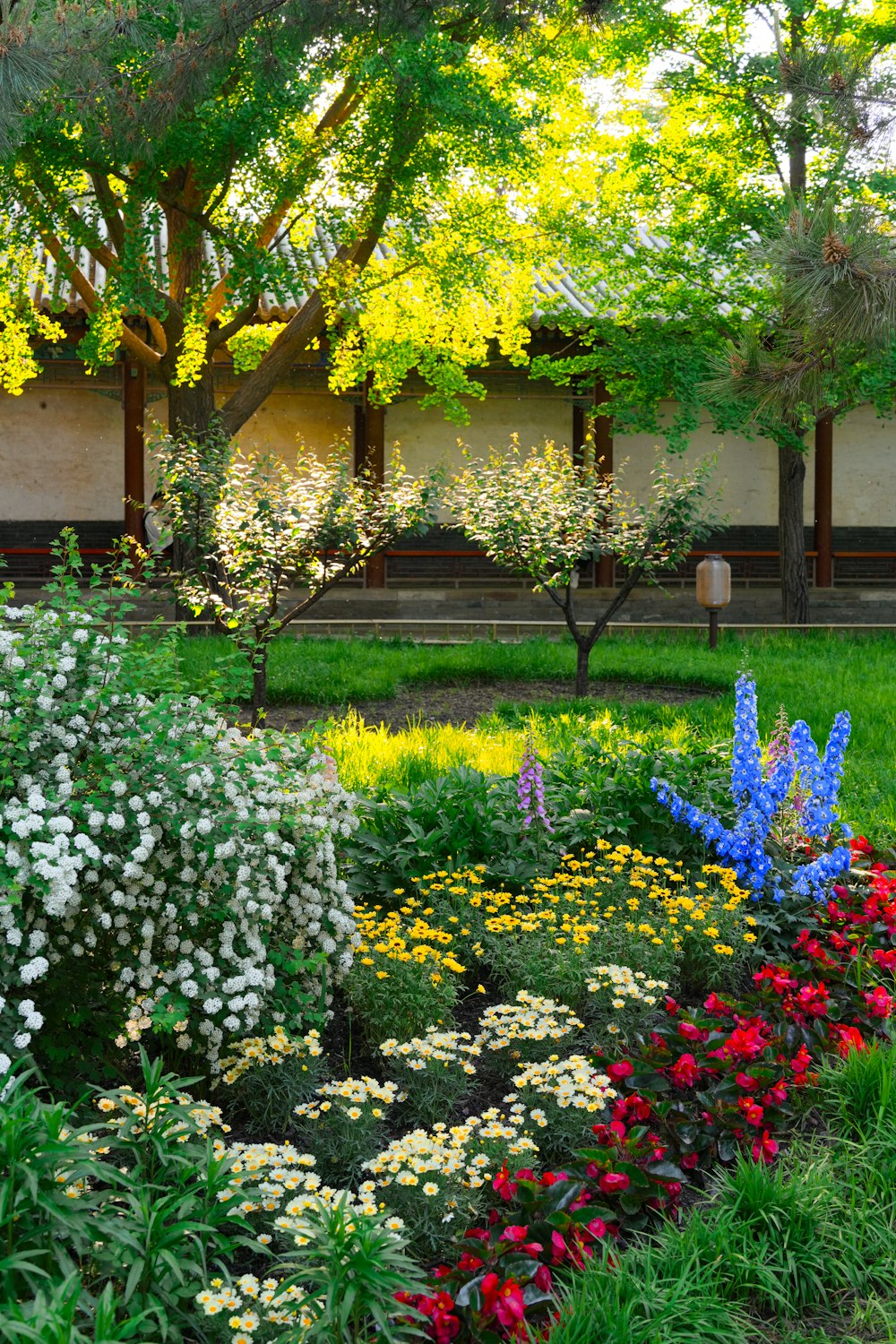 a garden filled with lots of colorful flowers