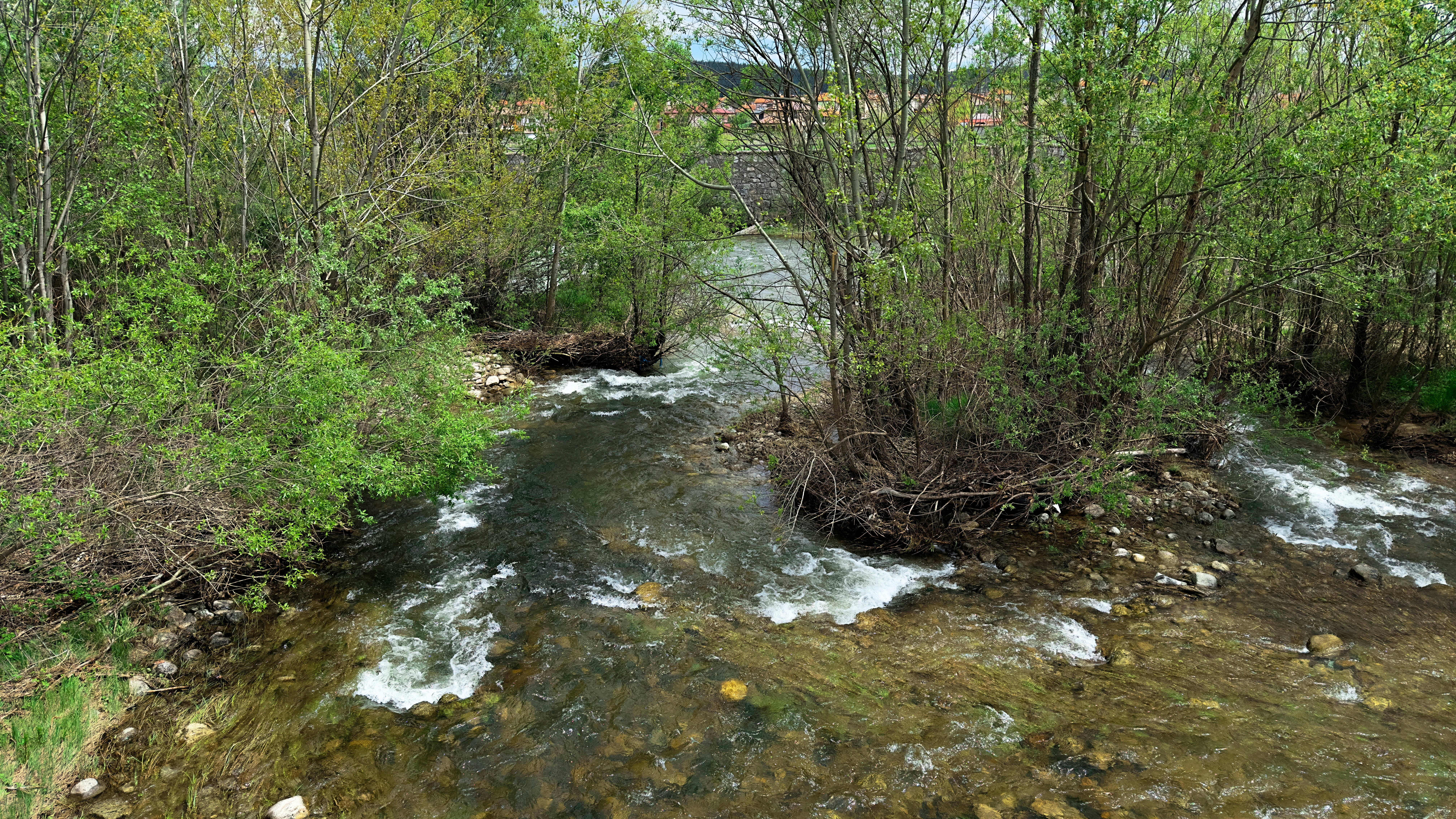 Photo by archange1michael