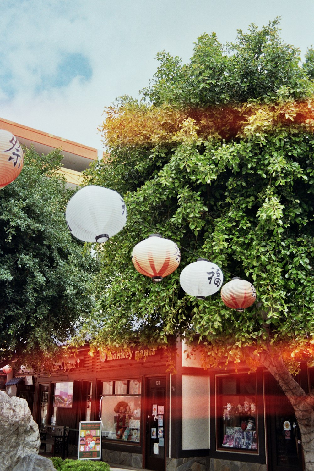 a group of paper lanterns hanging from a tree