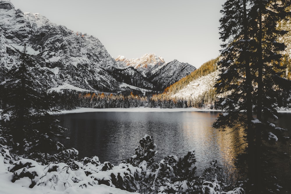 a mountain lake surrounded by snow covered trees