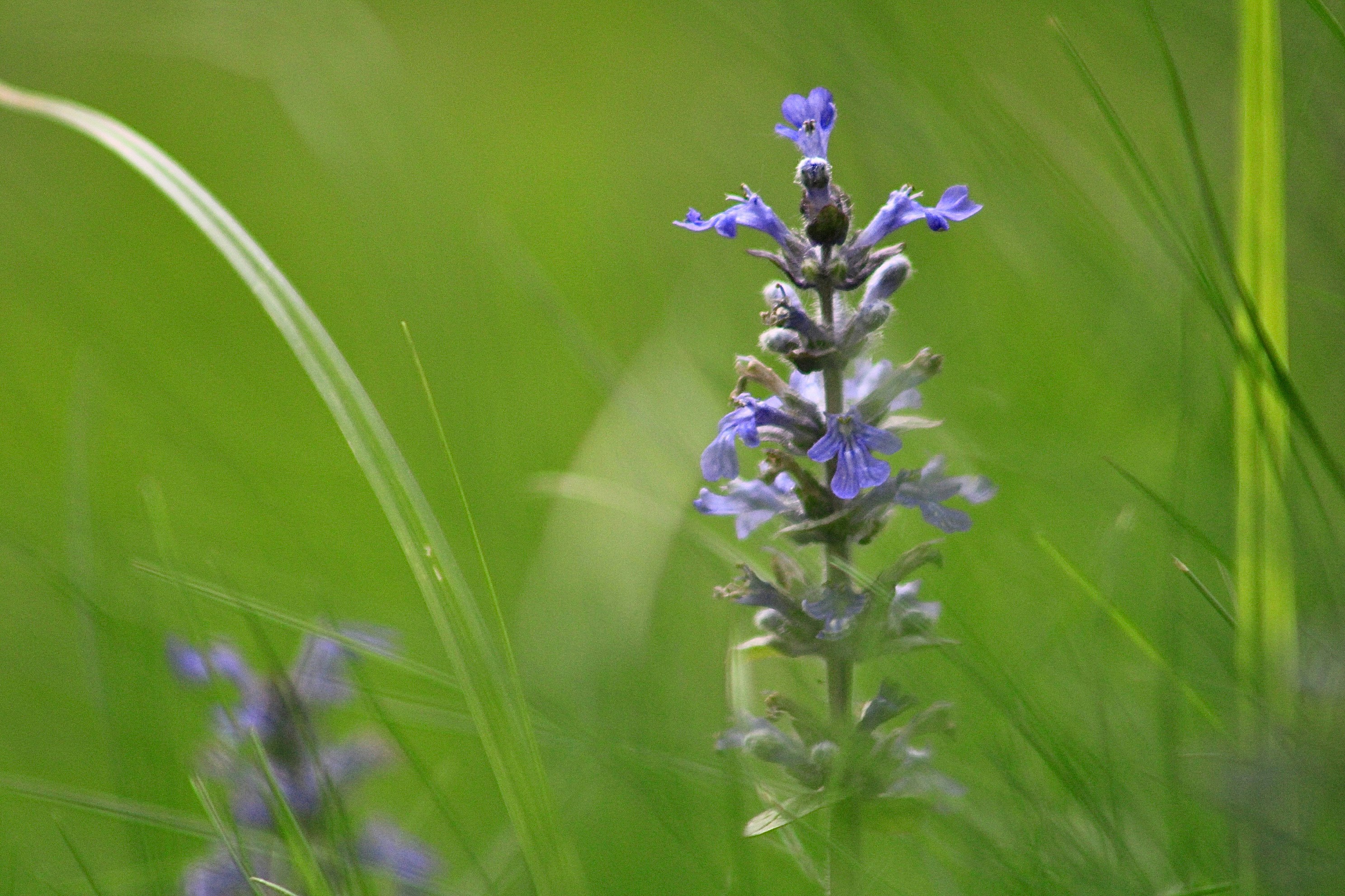 Photo by lisa_duqlaw