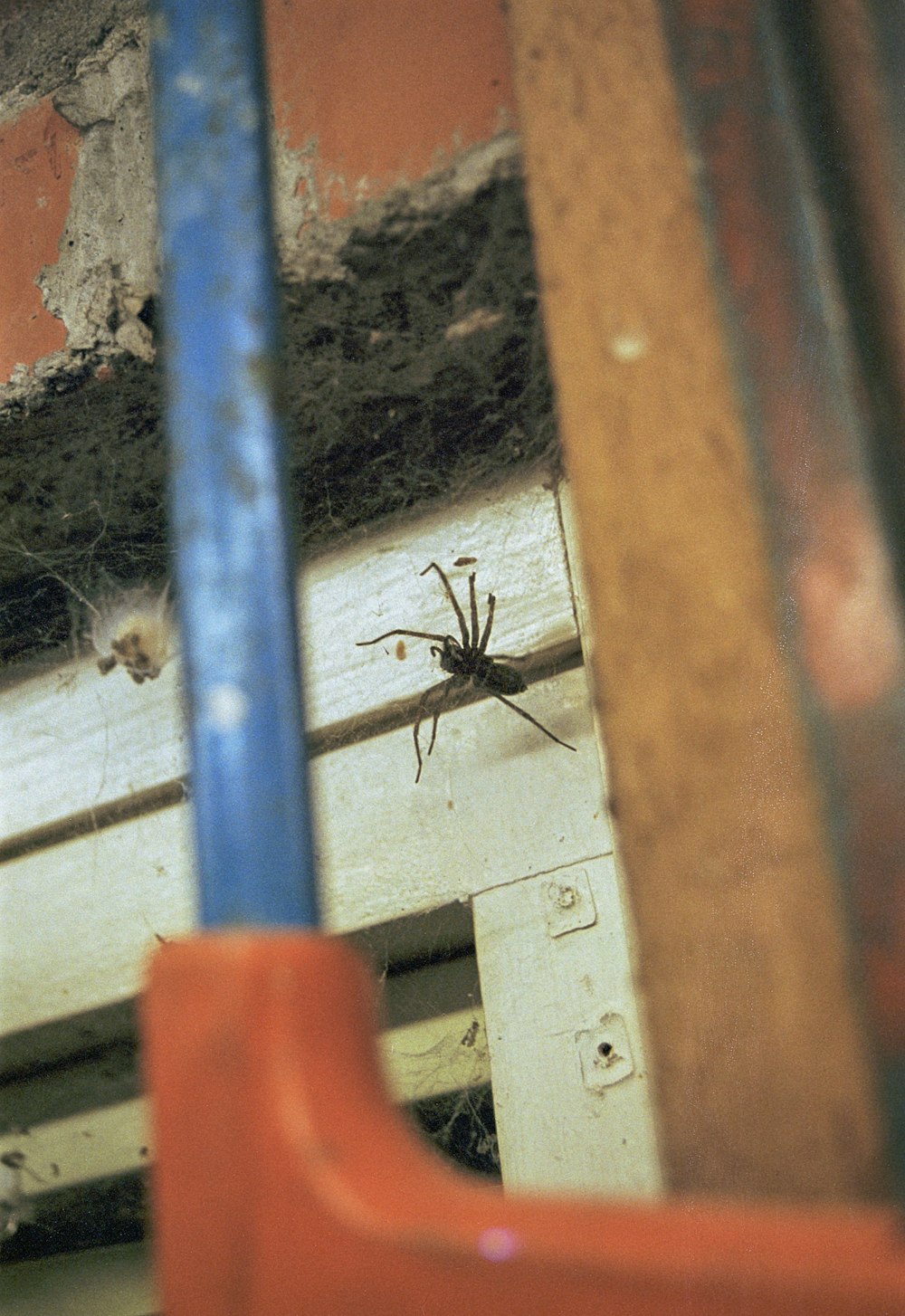 a spider sitting on the side of a building