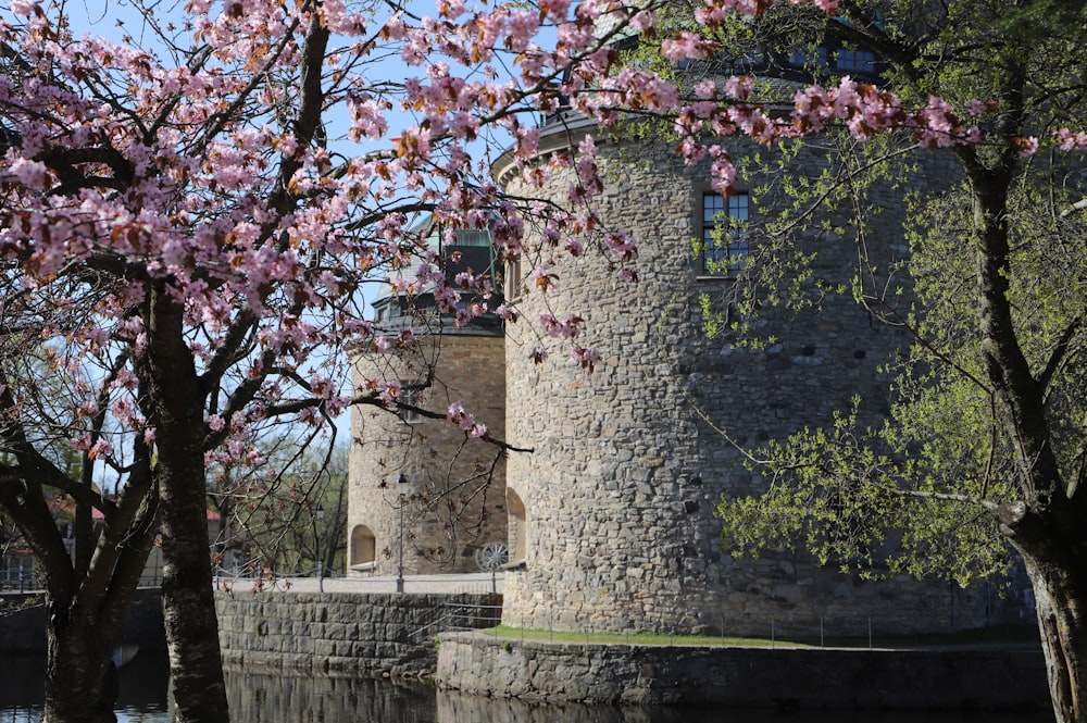 a castle with a moat surrounded by trees