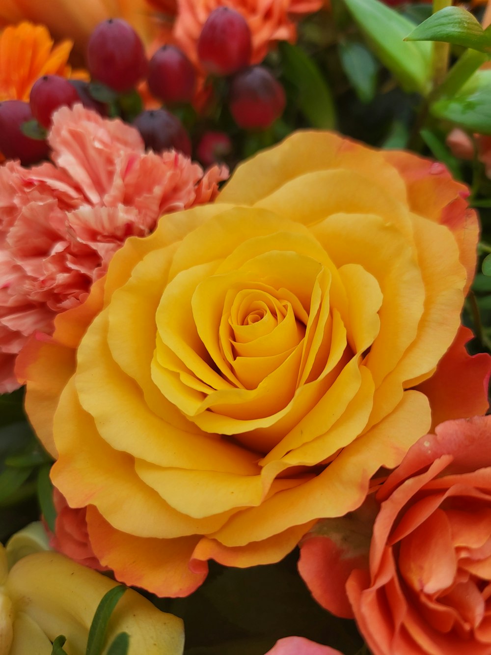 a close up of a yellow rose surrounded by other flowers