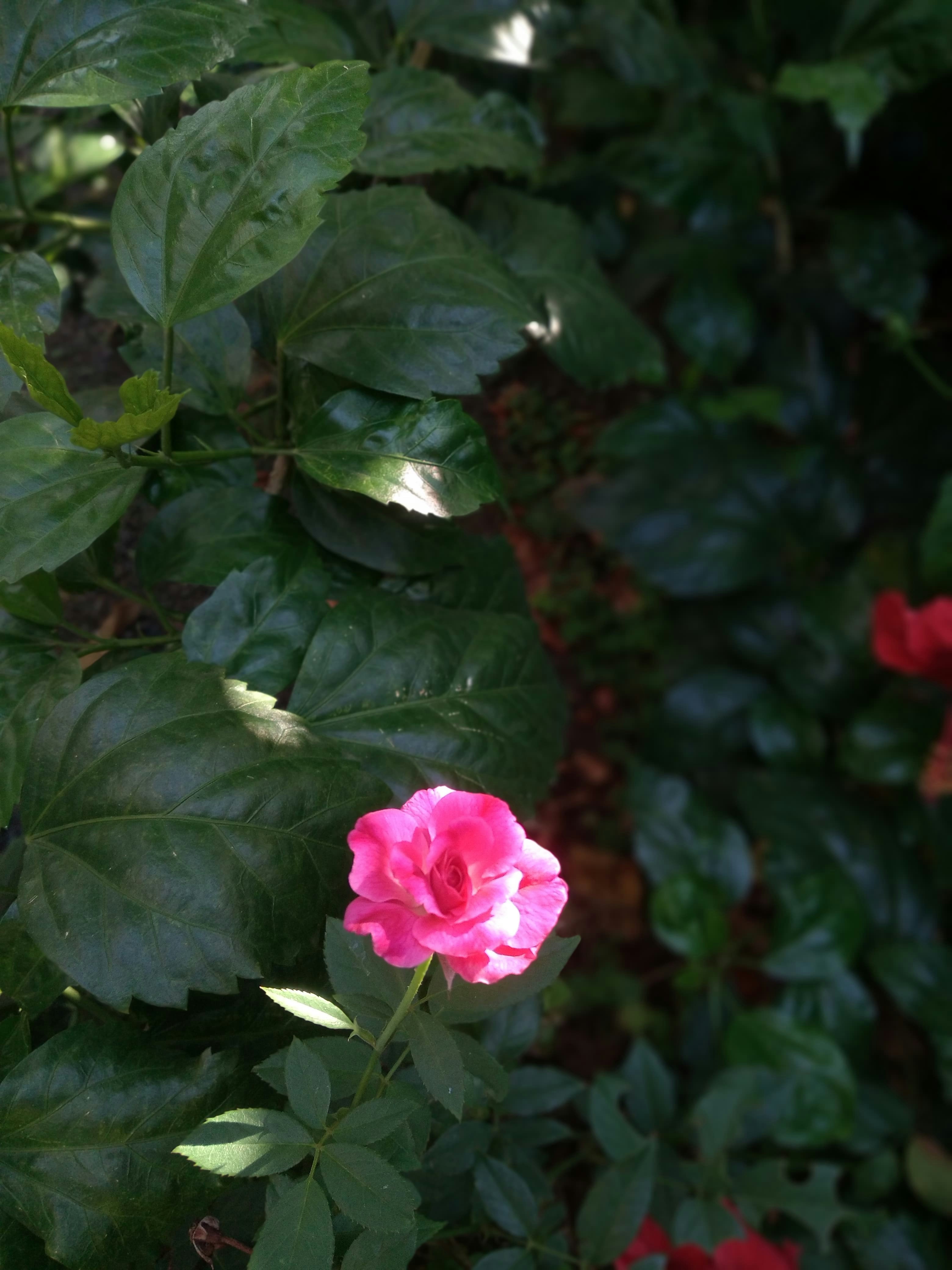 Photo by chinmaydhope18