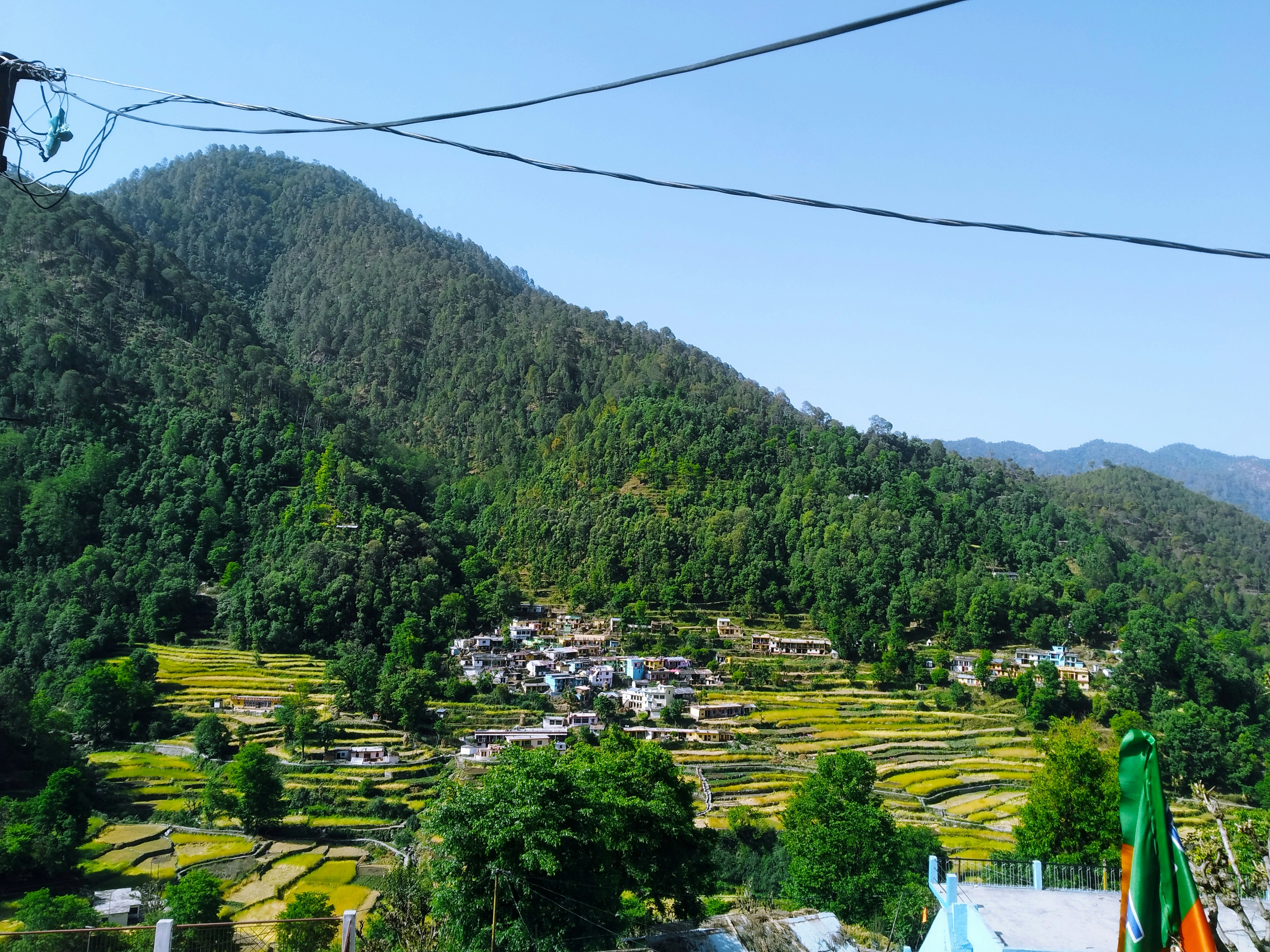 Photo by dendrophile