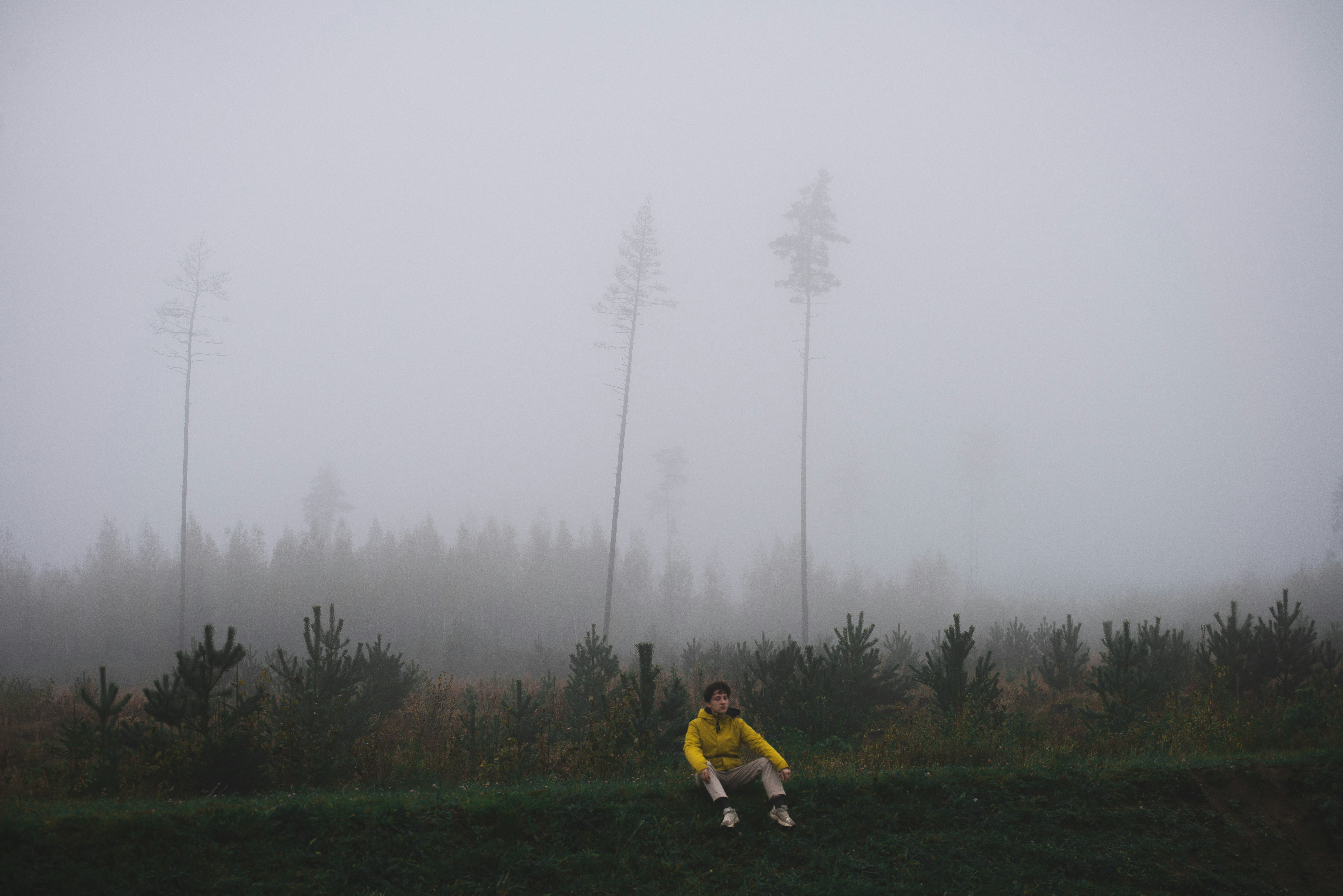 a person sitting on a hill in the fog