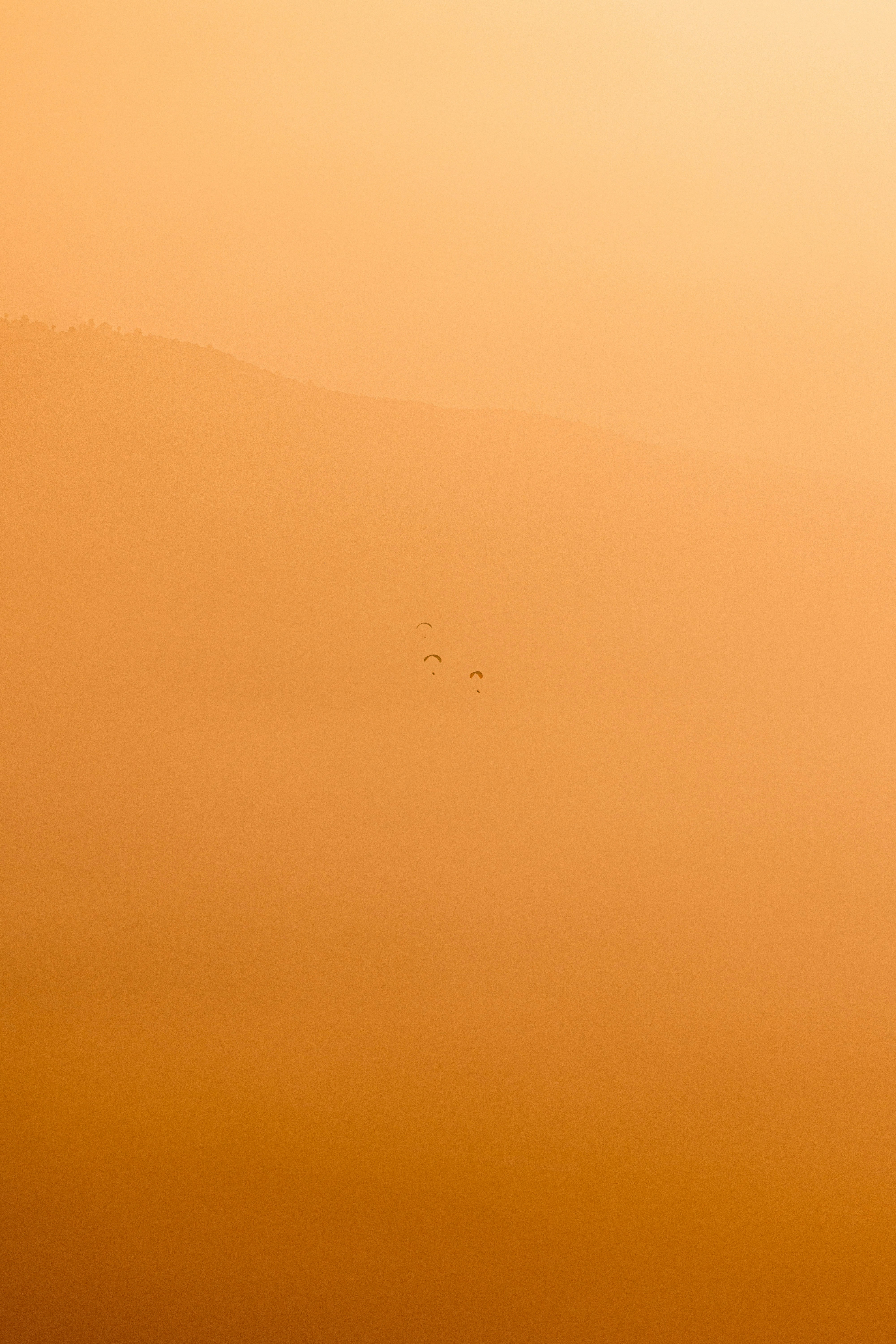 Photo by lukethorntonofficial