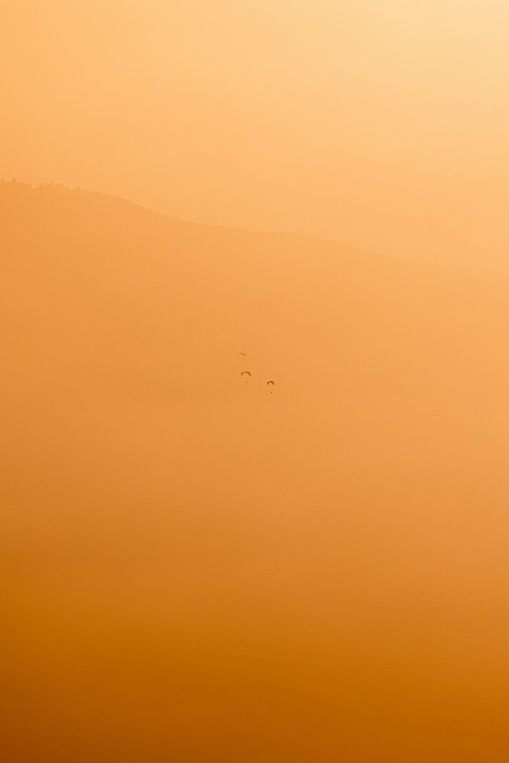 a group of birds flying through a foggy sky