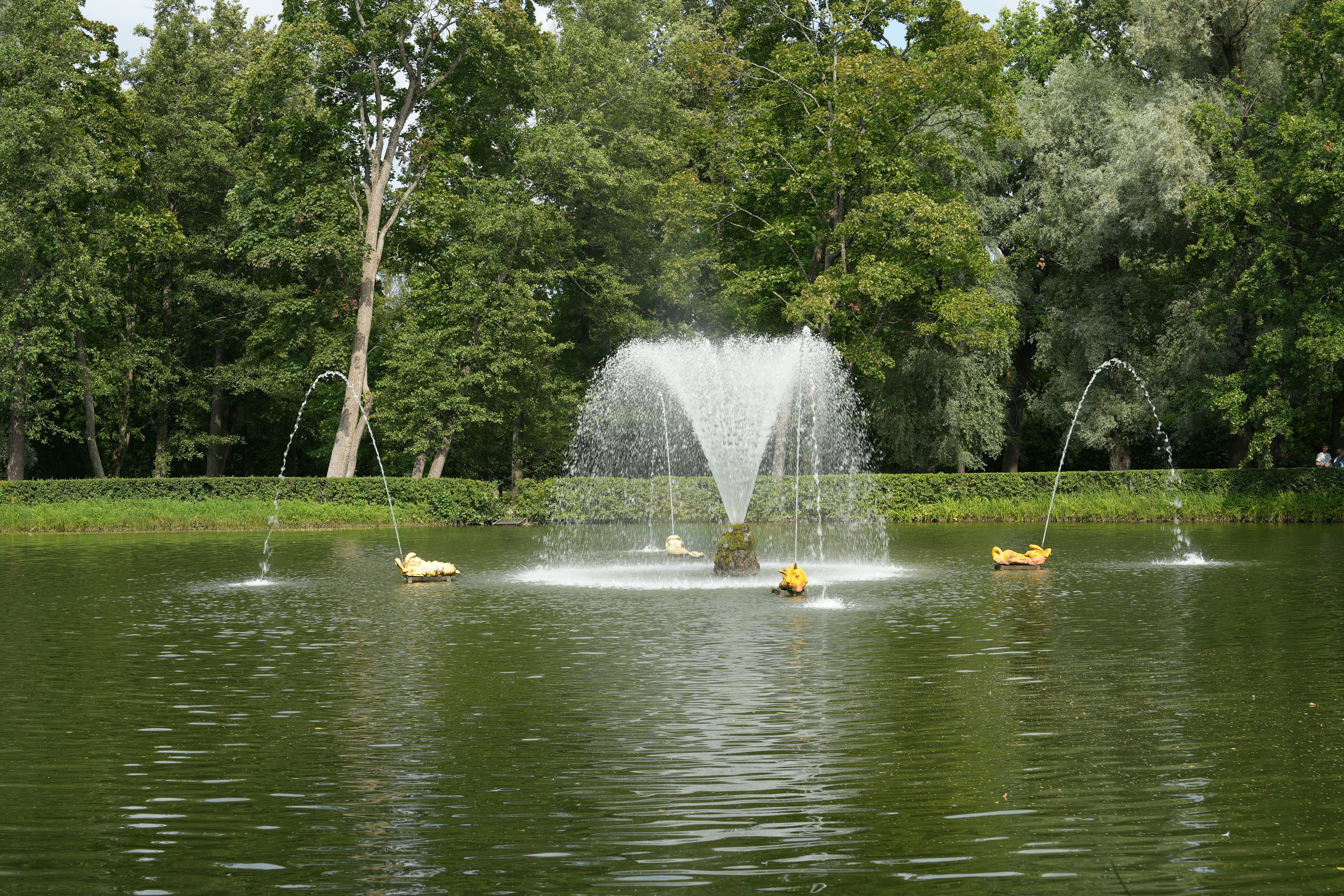 Photo by vadim_shevyrin