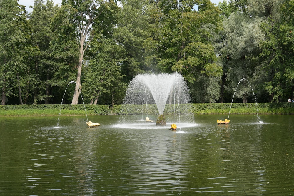 a pond filled with lots of water surrounded by trees