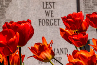 a group of red flowers sitting in front of a memorial