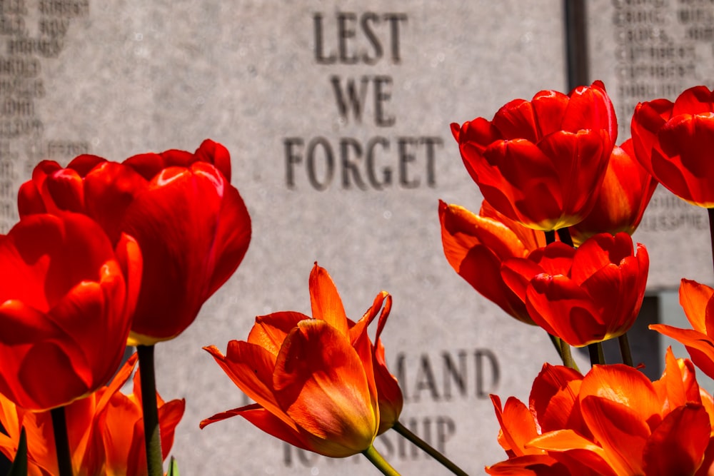 a group of red flowers sitting in front of a memorial