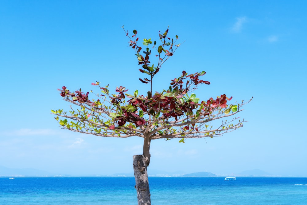 a tree that is standing in the sand