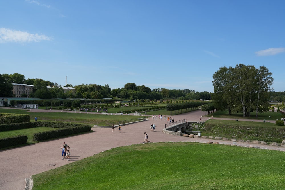 a group of people walking around a lush green park