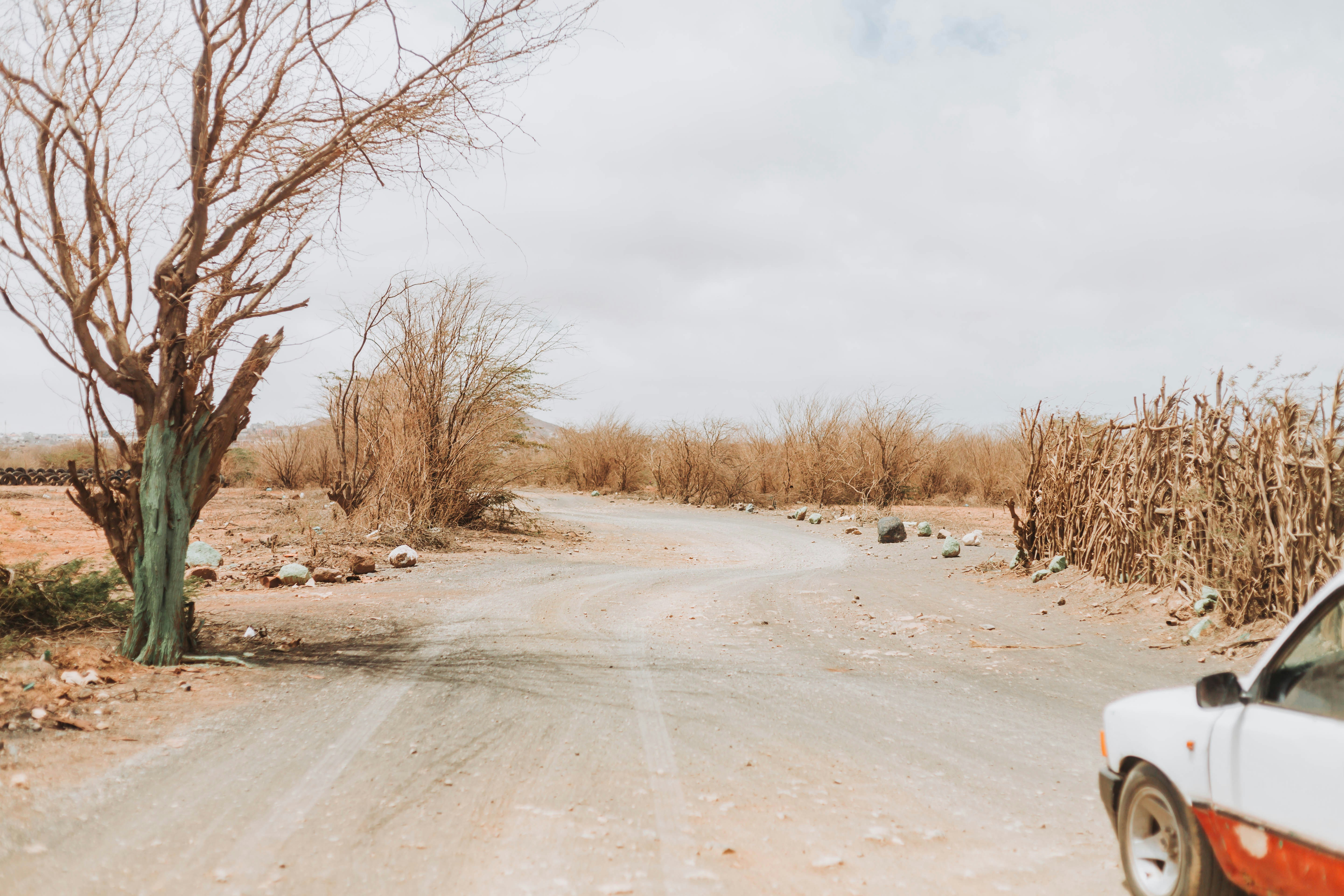 Un coche aparcado al lado de un camino de tierra