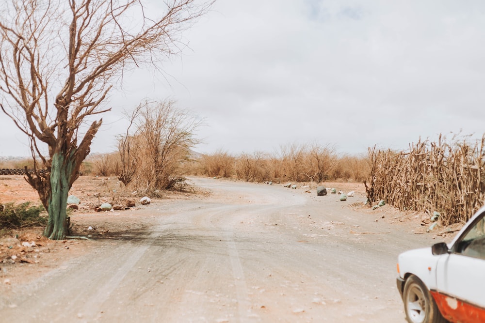 a car parked on the side of a dirt road