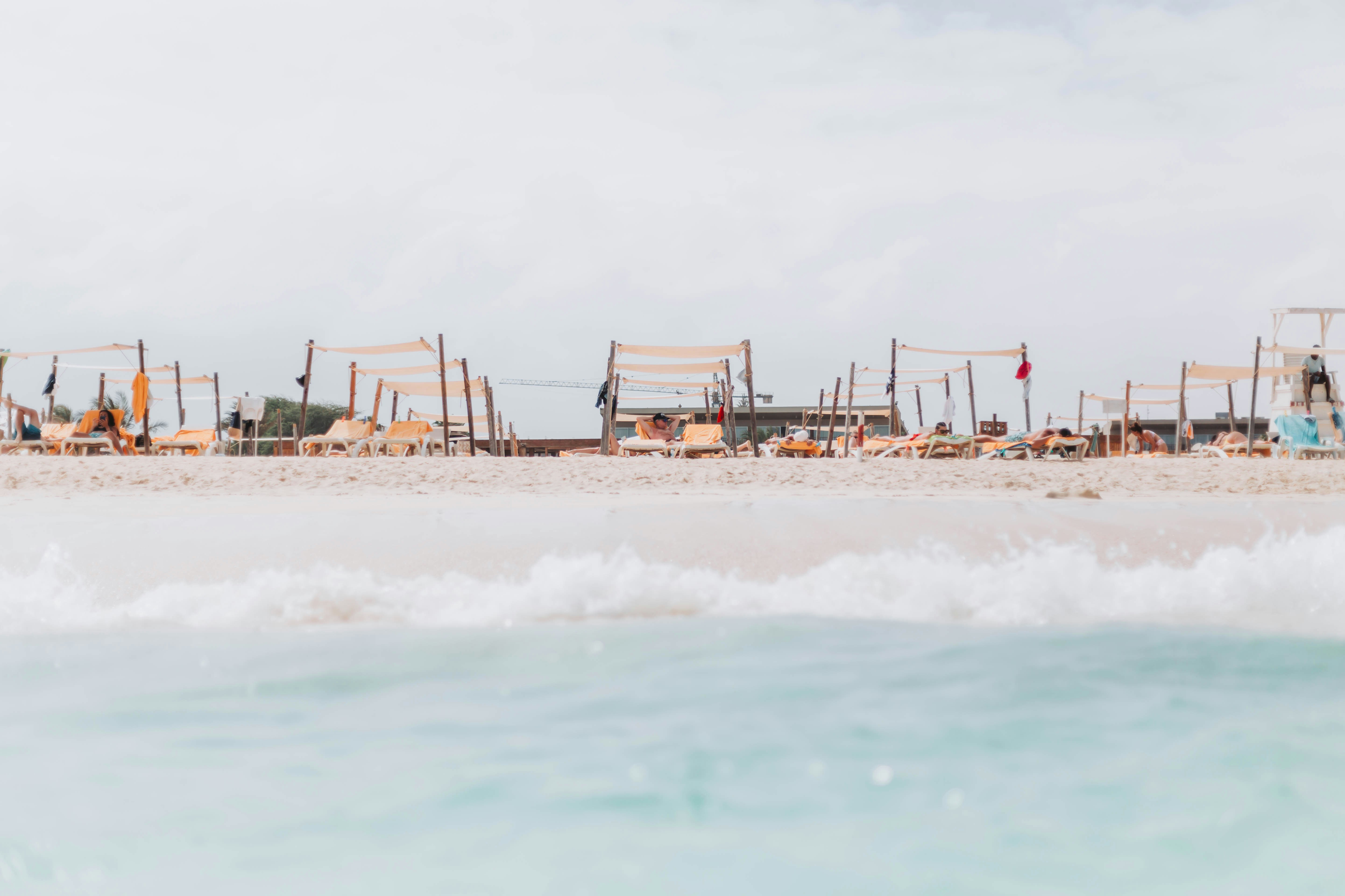 Un grupo de sillas sentadas en lo alto de una playa junto al océano