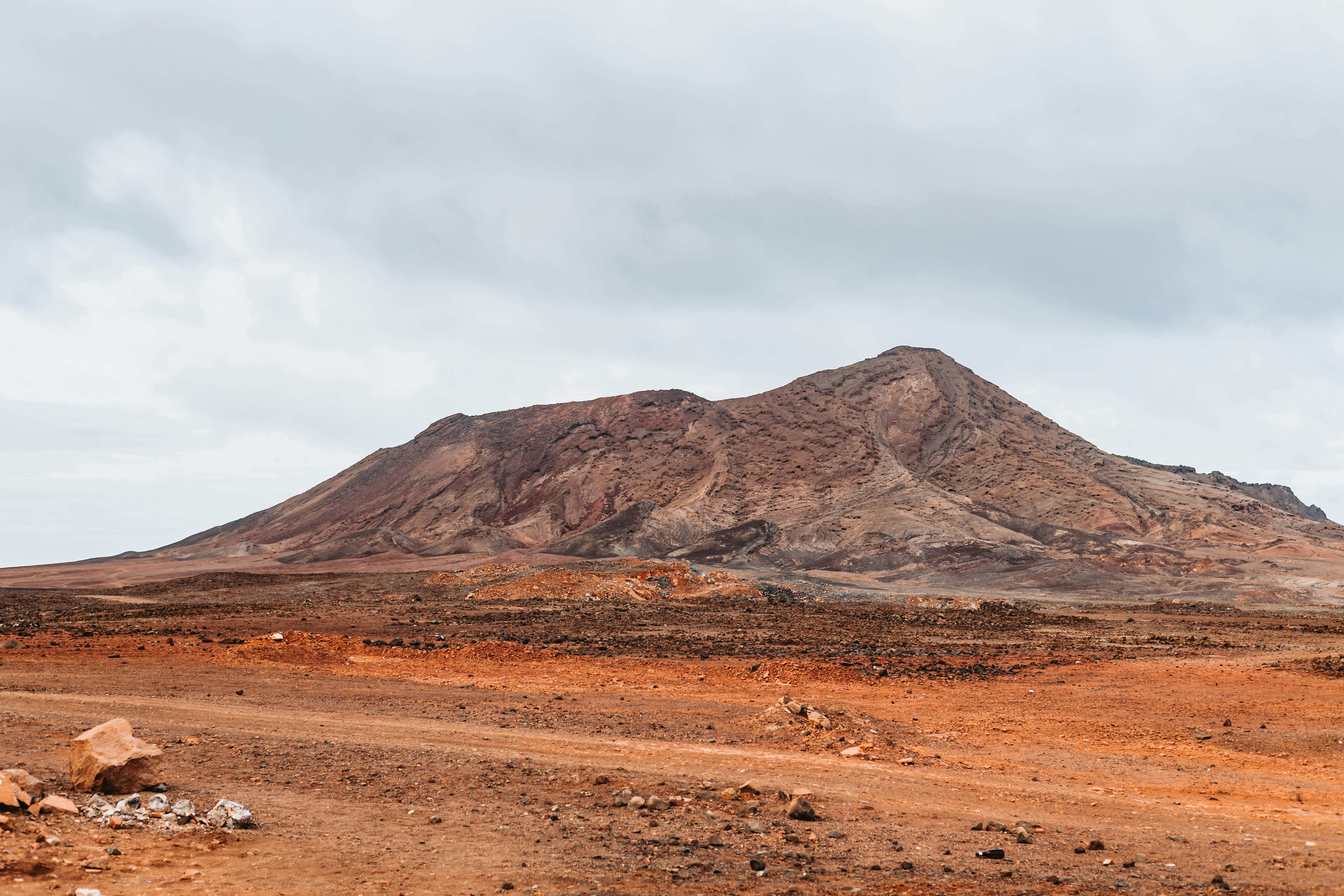 MBTI 관련 이미지 2