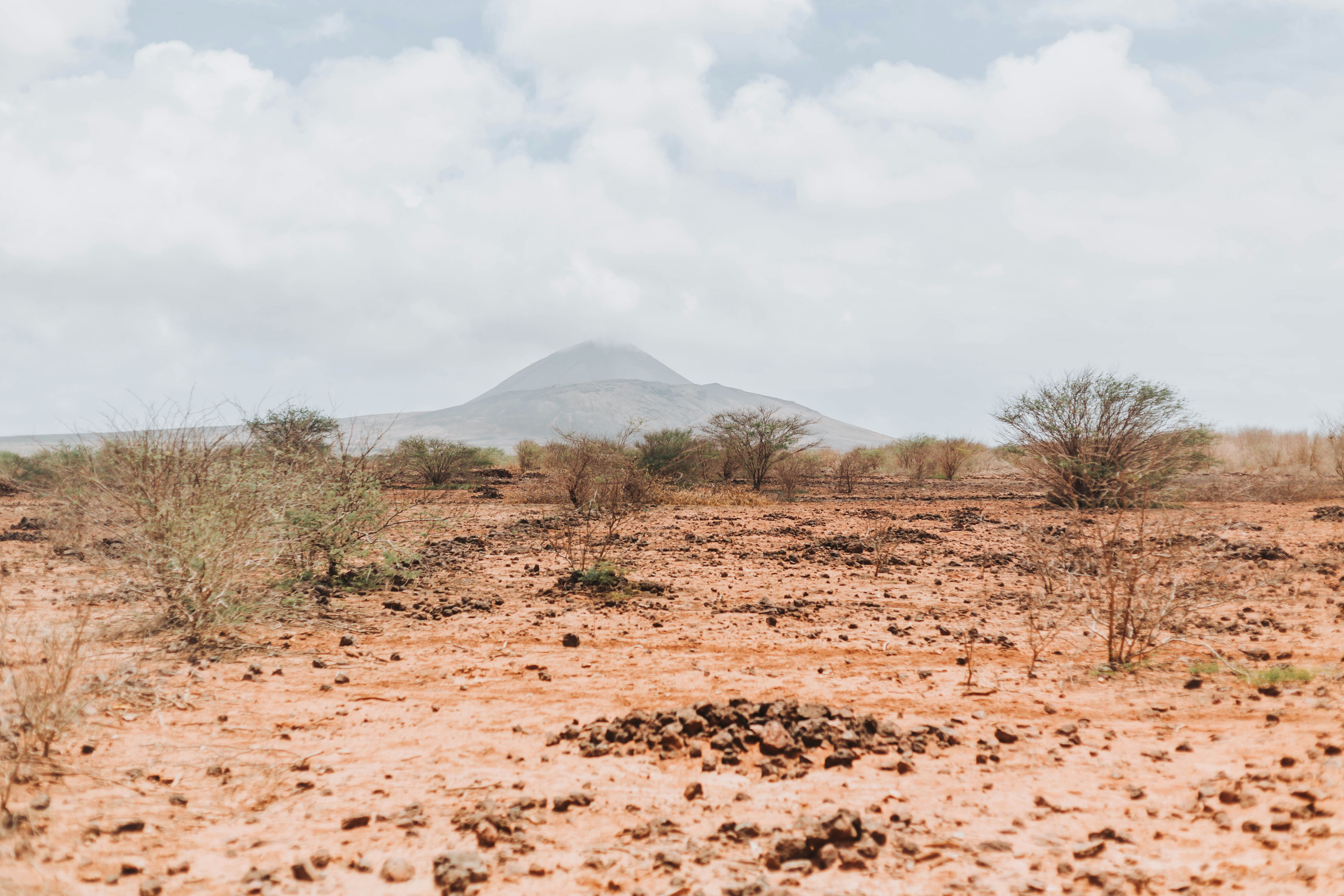 un campo de tierra con una montaña al fondo