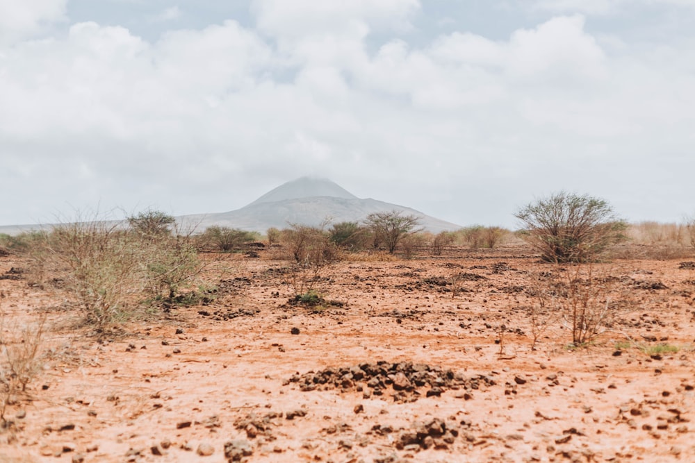 a dirt field with a mountain in the background