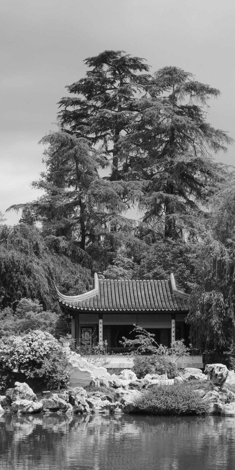 a black and white photo of a pond in a park