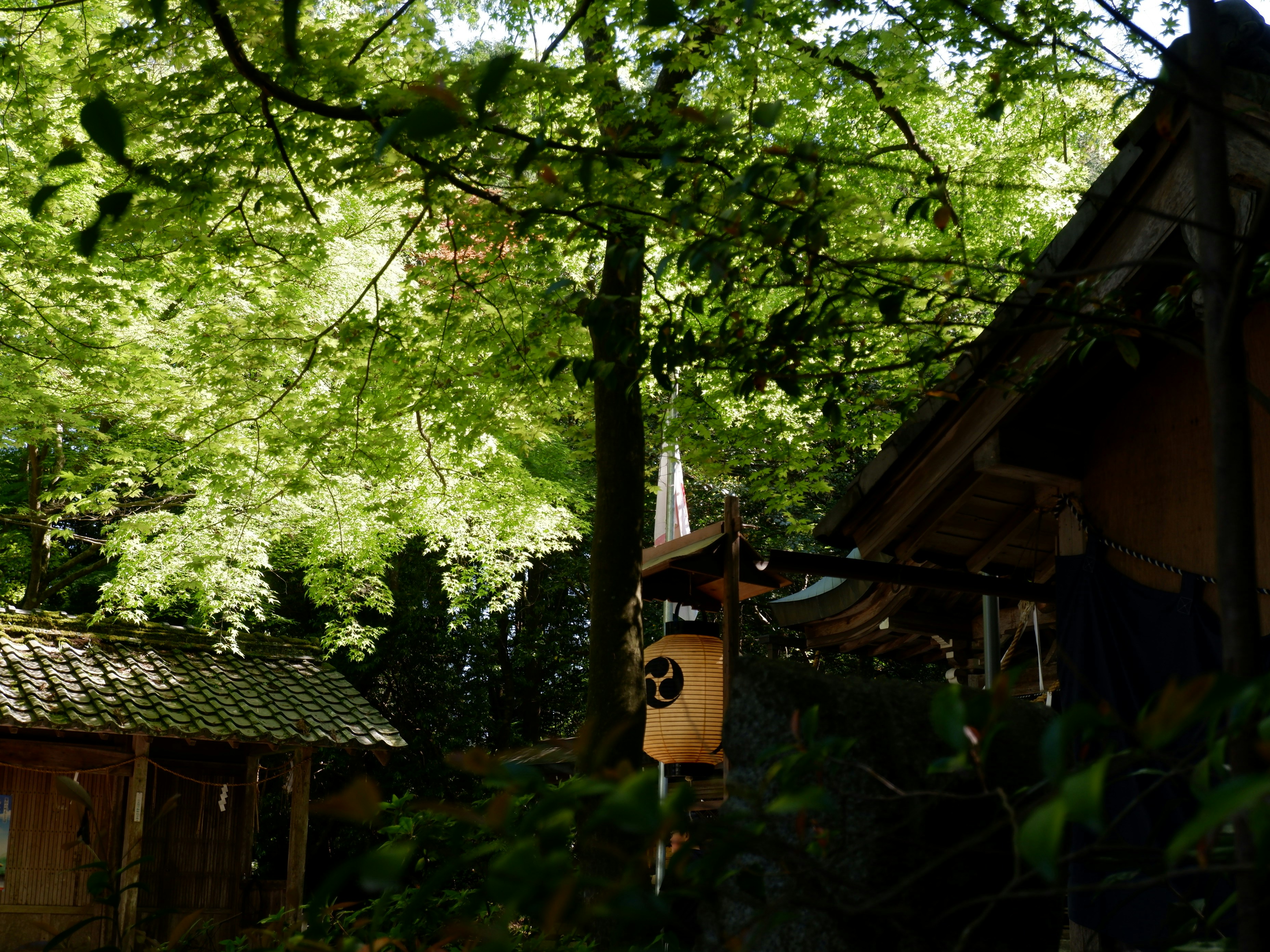 Photo by 365_new_chances