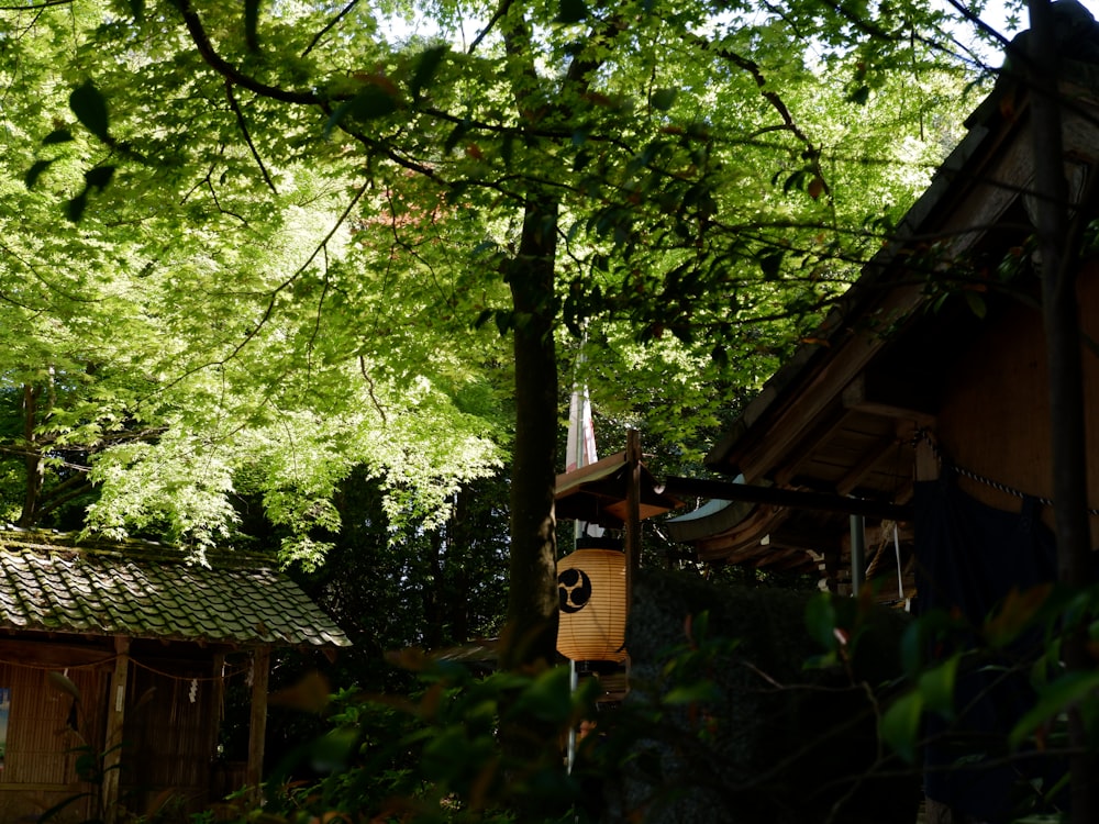 a bird house in the middle of a forest