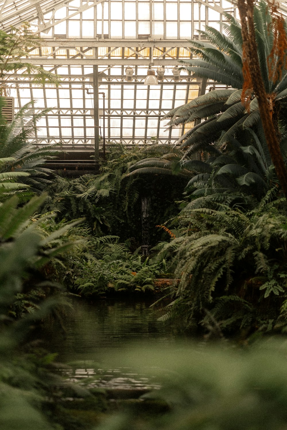 a pond surrounded by trees and plants in a greenhouse