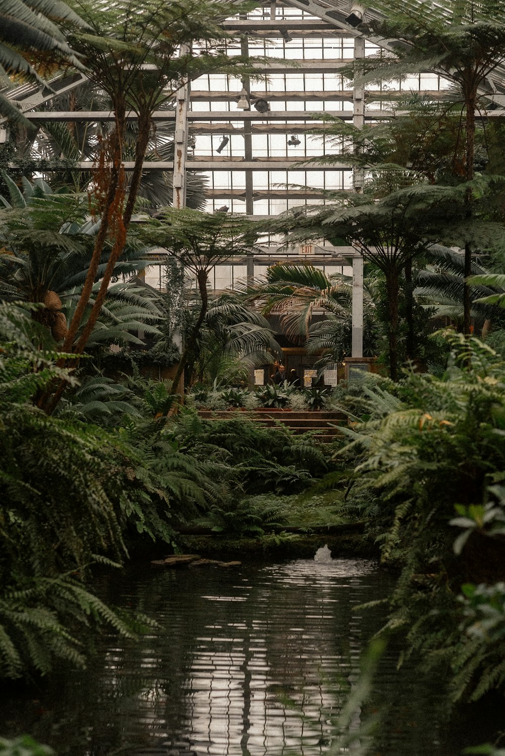 a pond surrounded by trees and plants in a greenhouse