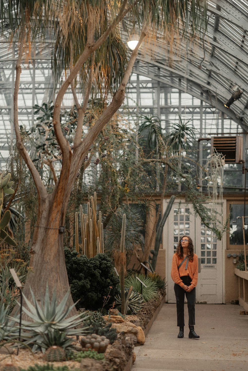 a woman standing in a greenhouse with a palm tree