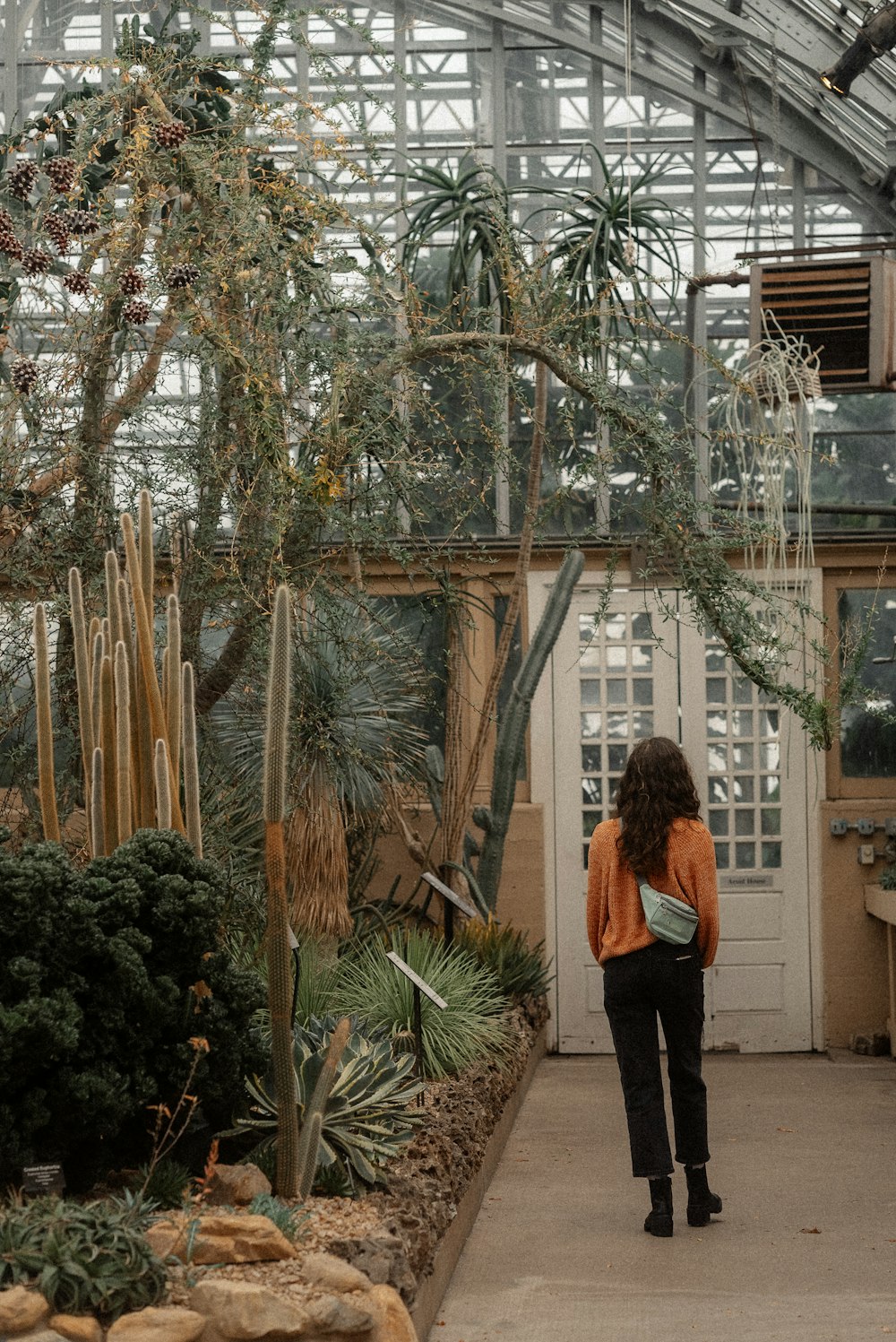 une femme debout dans une serre regardant des plantes