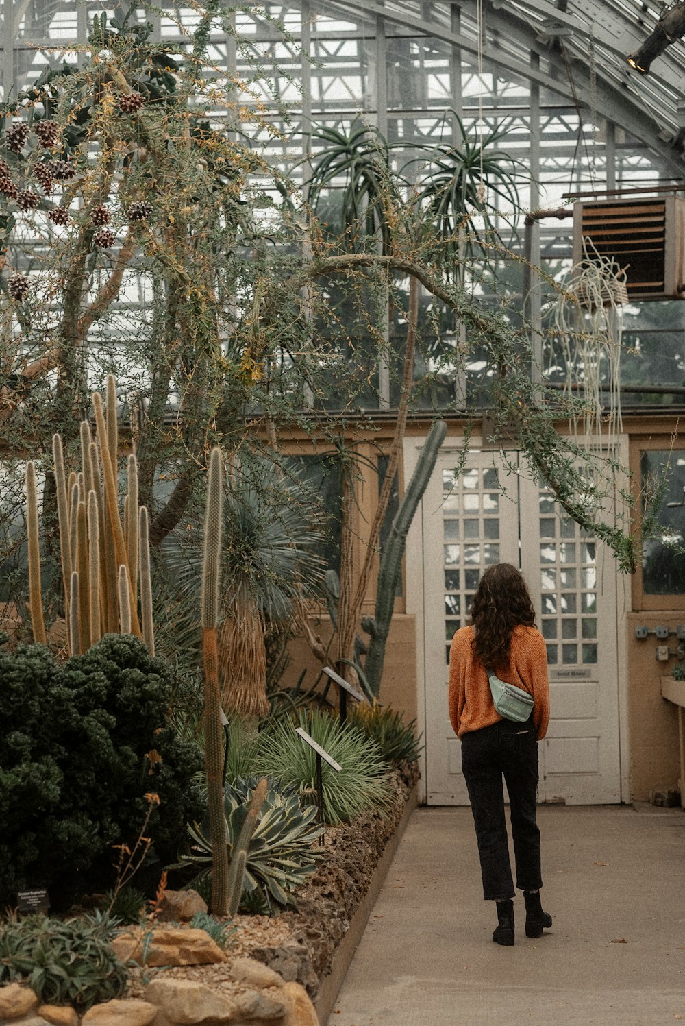 a woman standing in a greenhouse looking at plants