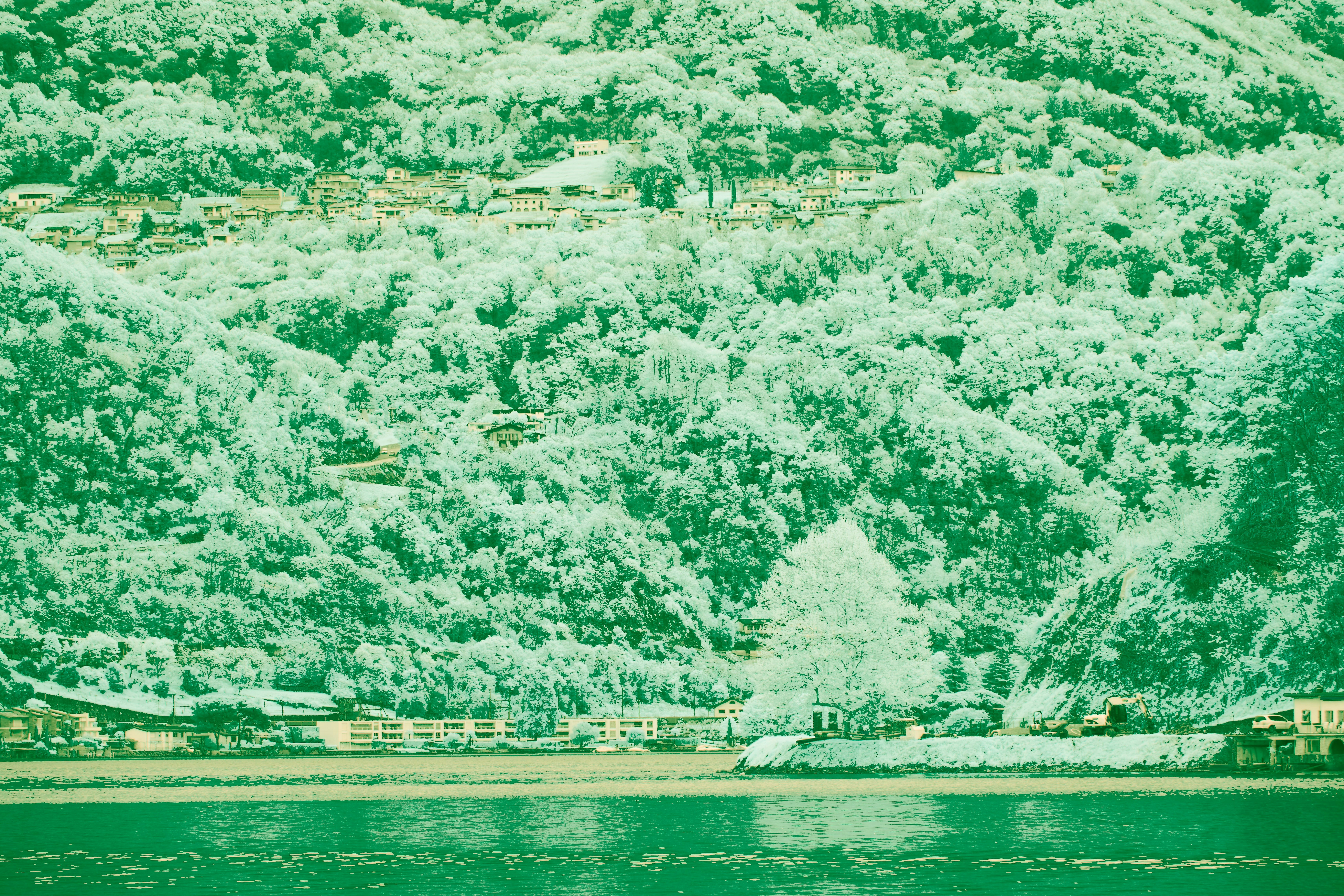 Photo by wolfgang_hasselmann