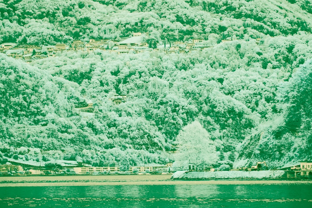 a mountain covered in trees next to a body of water