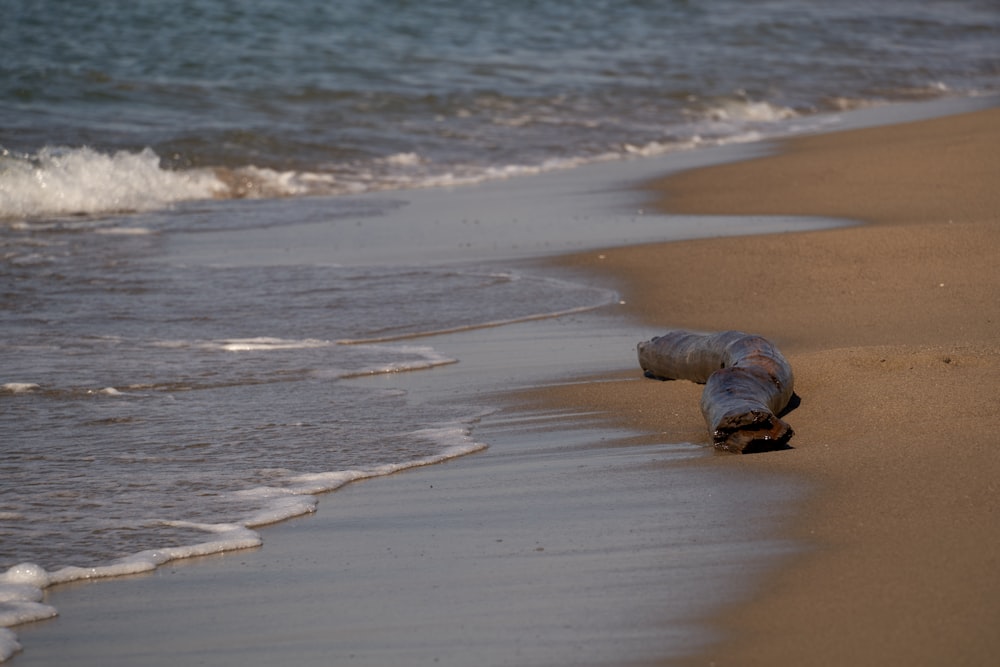 a bottle that is laying on the sand