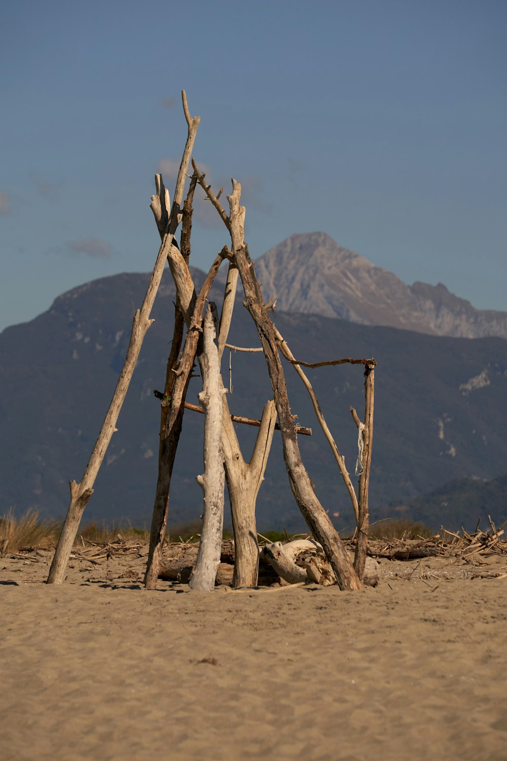 a wooden structure made out of branches on a beach