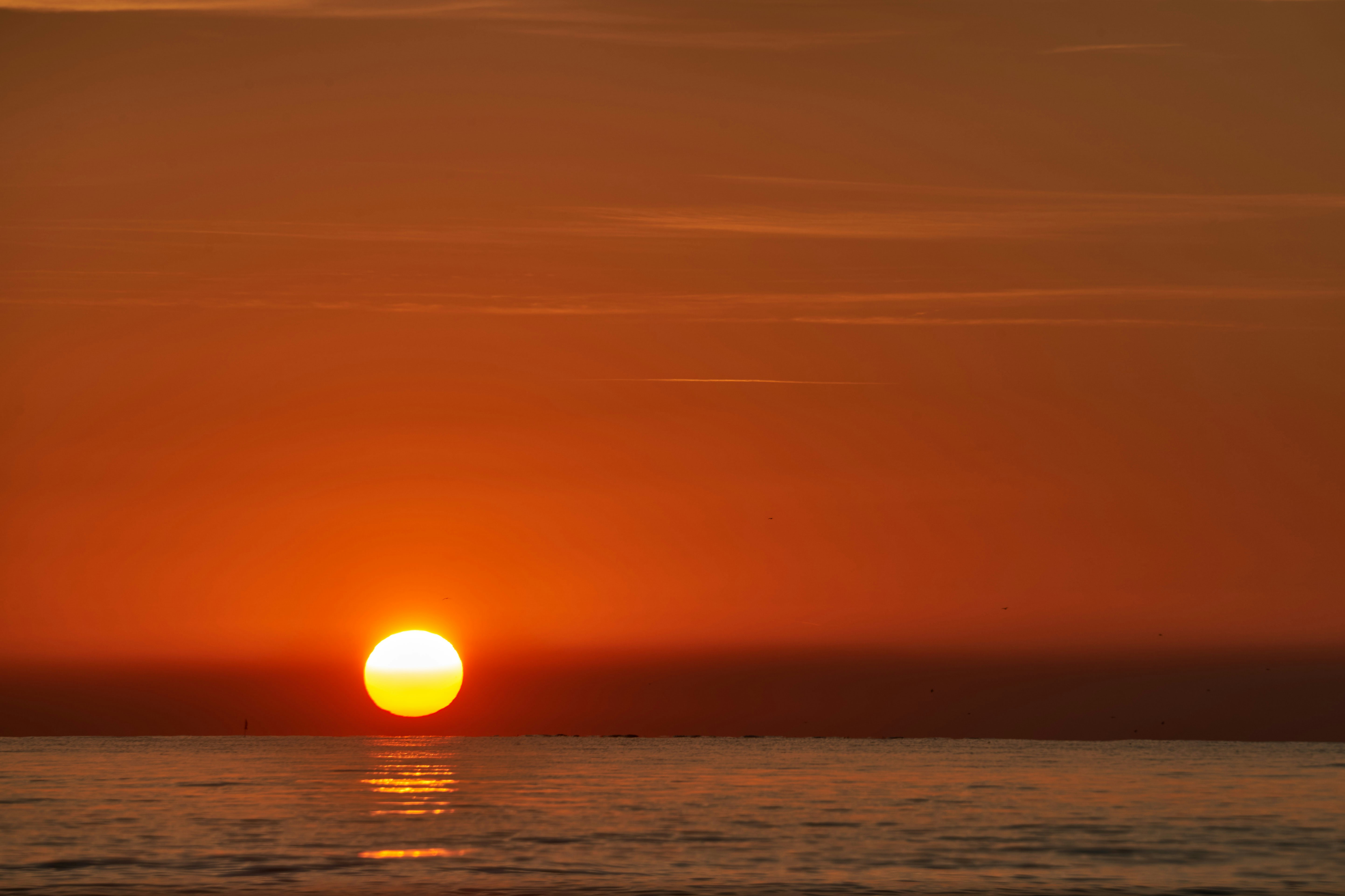 Photo by wolfgang_hasselmann