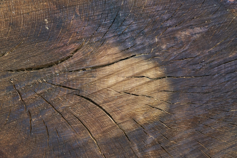 a piece of wood that has been cut in half