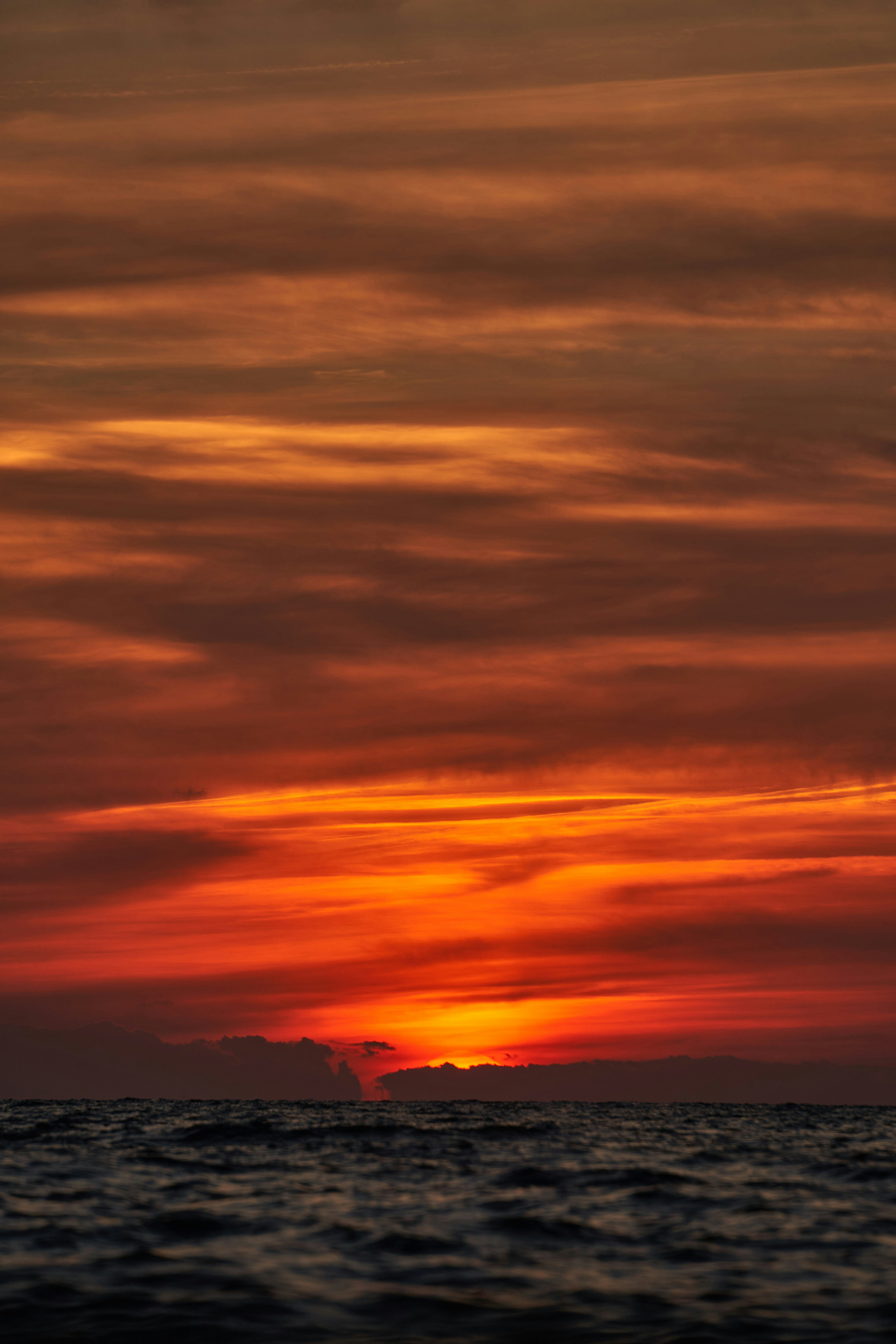 Photo by wolfgang_hasselmann