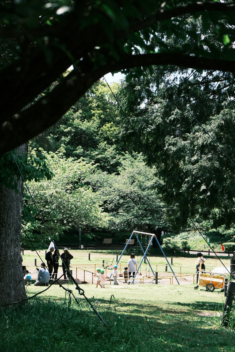 a group of people playing in a park