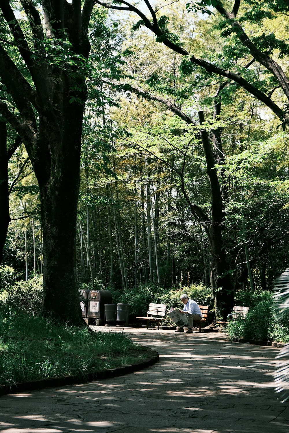 a couple of people sitting on a bench under a tree