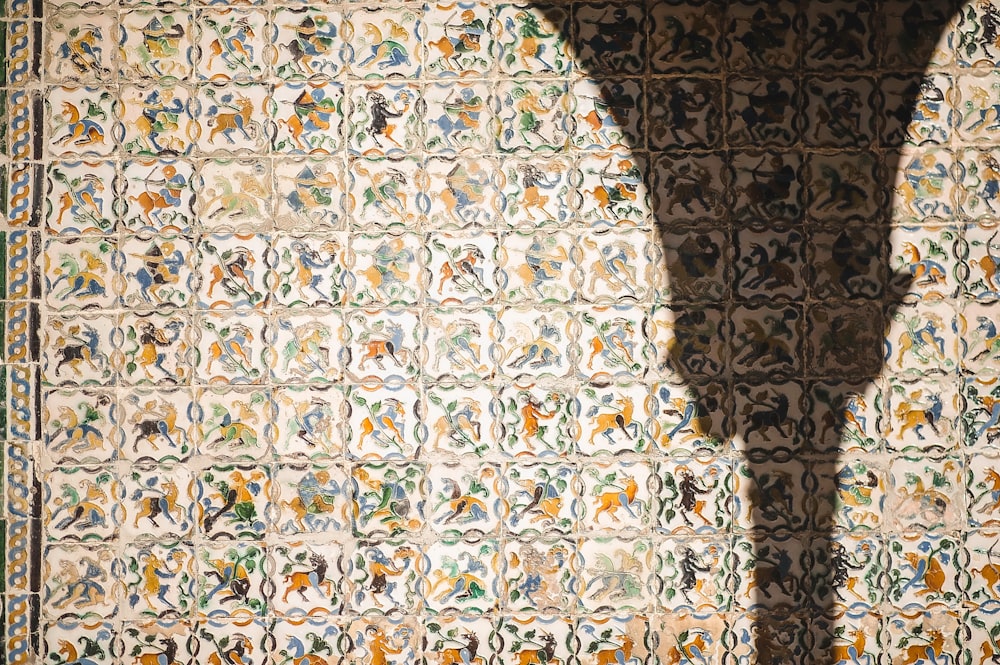 a shadow of a person standing in front of a wall