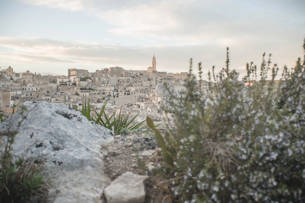 a view of a city from the top of a hill