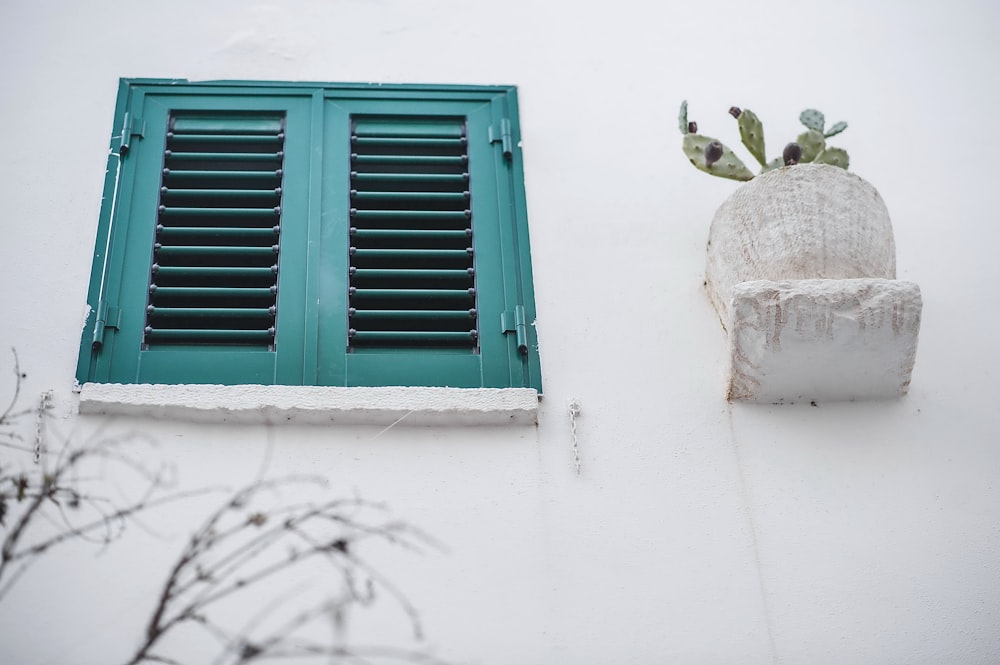 a green window and a white wall with shutters