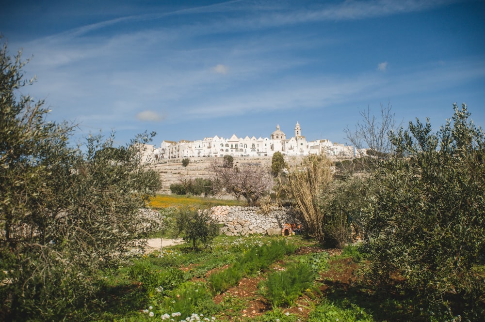 a view of a city from a distance